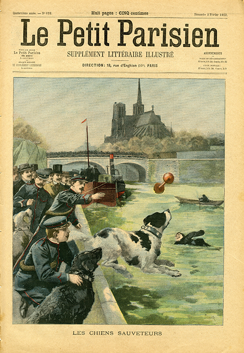 Histoire de la brigade fluviale, les gardiens de la Seine - Chiens sauveteurs