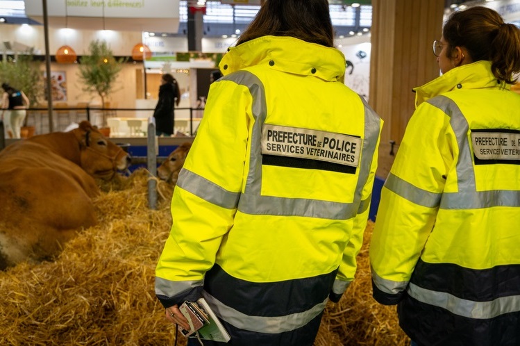 les inspecteurs sont devant une vache au salon de l'agriculture